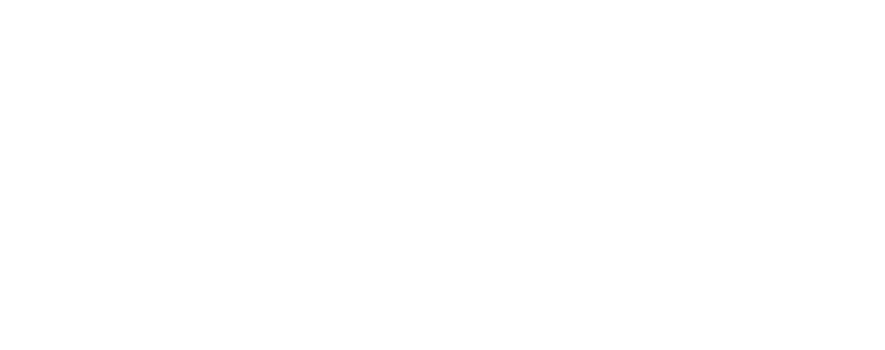 Fibex Telecom logo